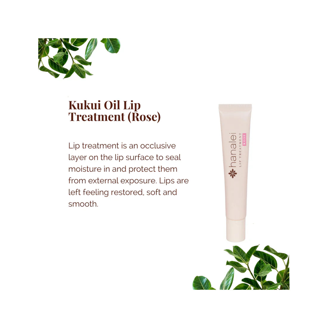 Kukui Lip Oil Treatment Balm for Soothing Dry Lips by Hanalei - 15g