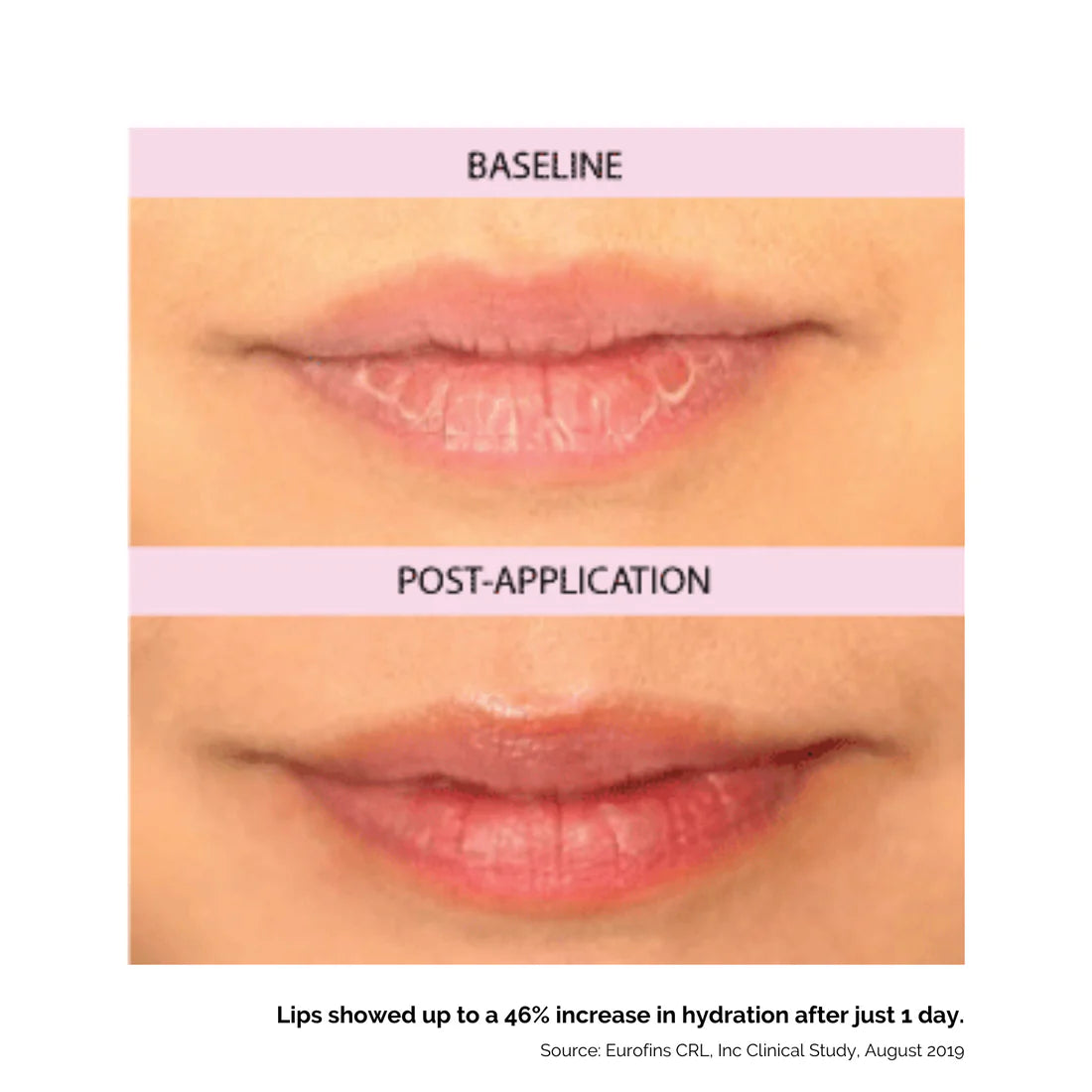 Kukui Lip Oil Treatment Balm for Soothing Dry Lips by Hanalei - 15g