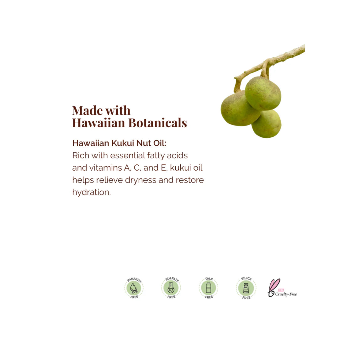 Kukui Lip Balm by Hanalei - Set of 5 (4.25g x 5)