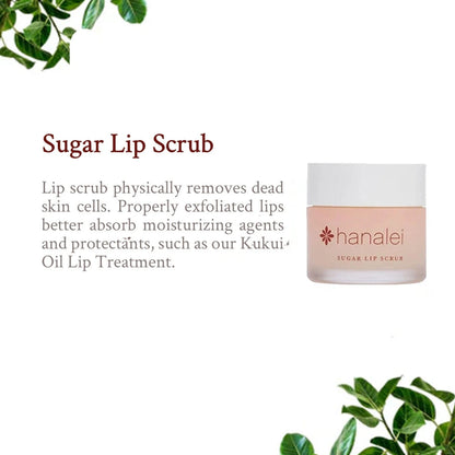 Sugar Lip Scrub Exfoliator by Hanalei - 22g