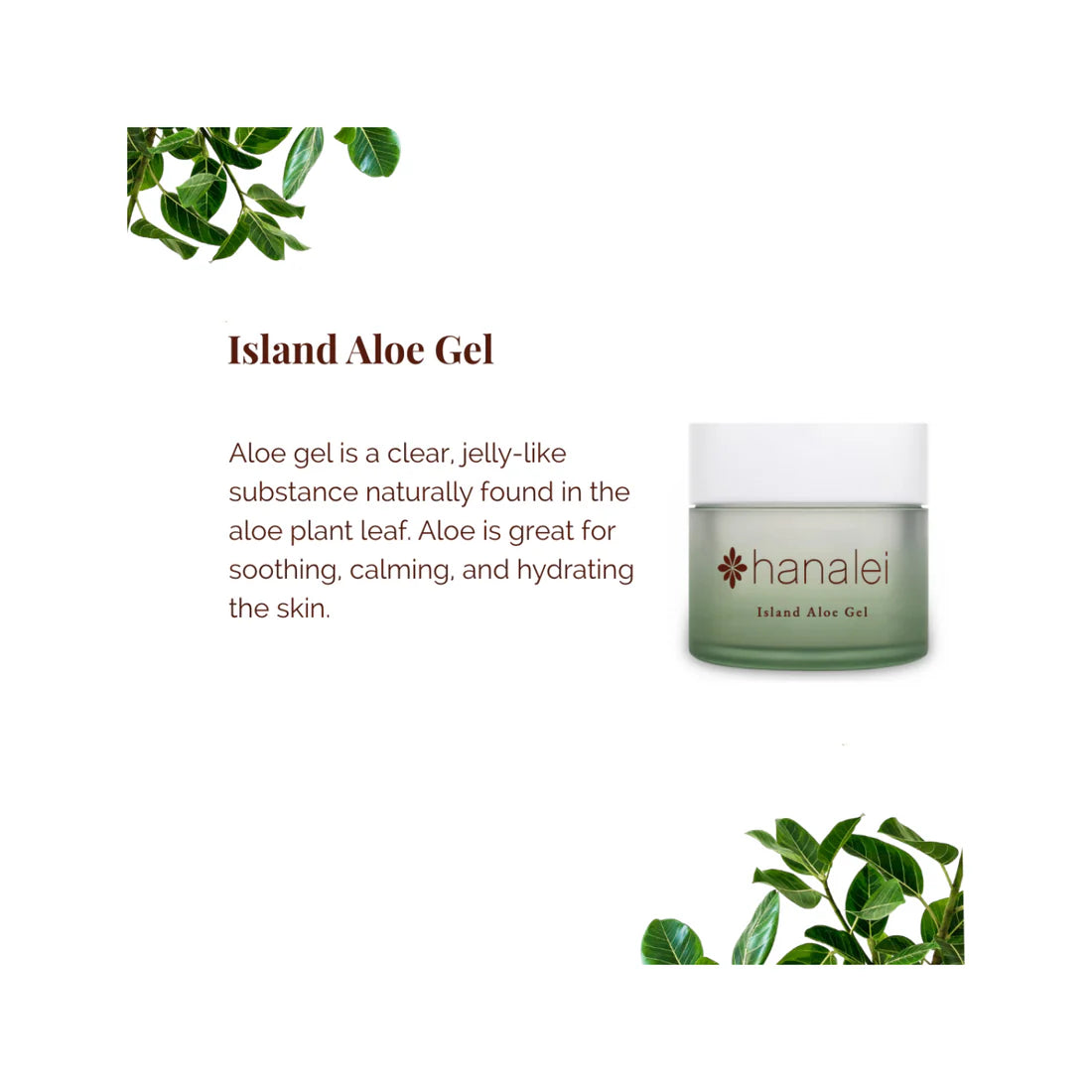 Soothing Island Aloe Gel Daily Use Moisturizer by Hanalei
